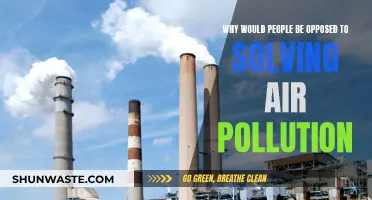 Solving Air Pollution: Who's Against Clean Air?