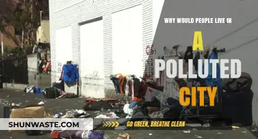 Living in Smog: Reasons People Stay in Polluted Cities
