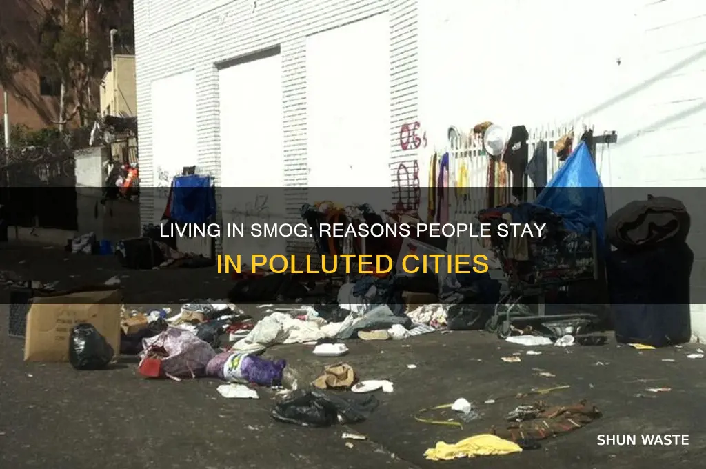 why would people live in a polluted city