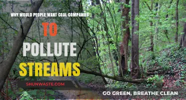 Why Do Some Support Coal Companies Polluting Streams?