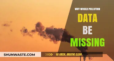 Understanding the Gaps: Why Pollution Data Often Goes Missing
