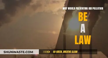 Air Pollution: A Legal Responsibility to Prevent