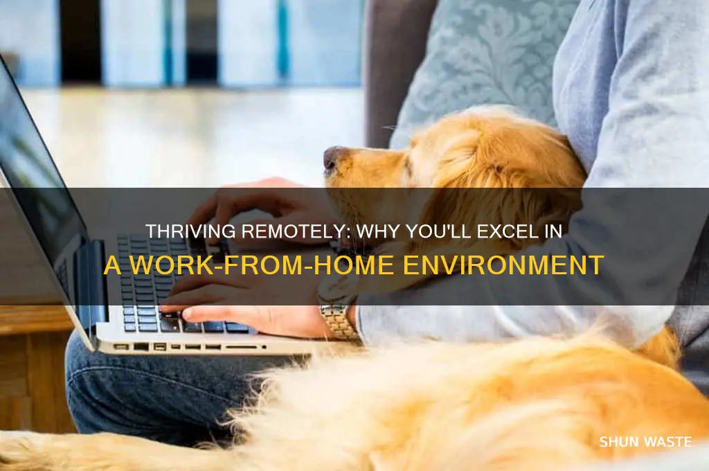 why would you excel in a work from home environment