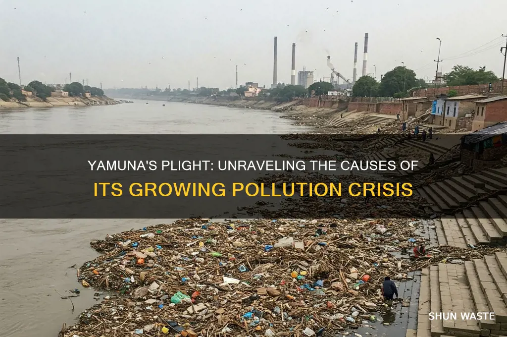 why yamuna is getting polluted