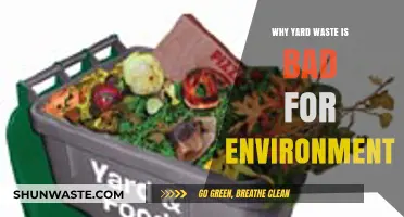 Yard Waste's Hidden Harm: Environmental Impact and Sustainable Solutions