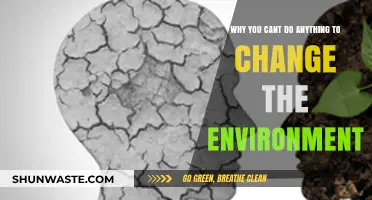 The Harsh Reality: Why Individual Efforts Can't Save the Environment