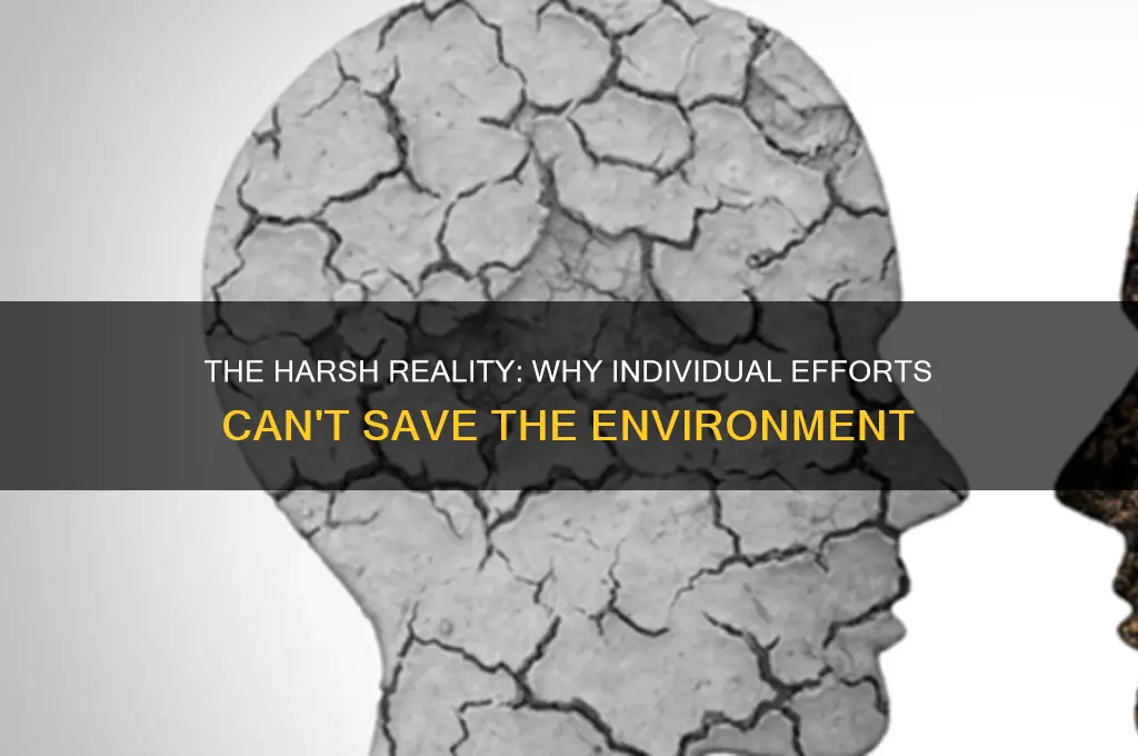 why you cant do anything to change the environment