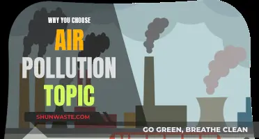 Air Pollution: My Personal Interest and Concern
