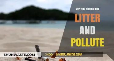 Stop Trashing Our Planet: The Urgent Need to End Littering and Pollution