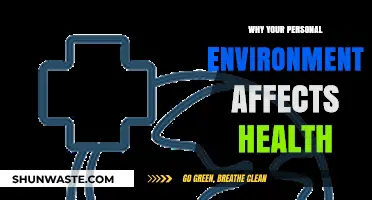 How Your Surroundings Shape Health: The Environment-Wellness Connection