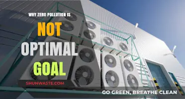 Zero Pollution Myth: Why Perfection Isn't the Best Environmental Goal