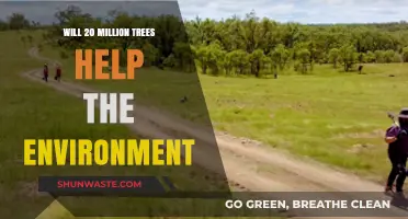 Can Planting 20 Million Trees Significantly Improve Our Environment?
