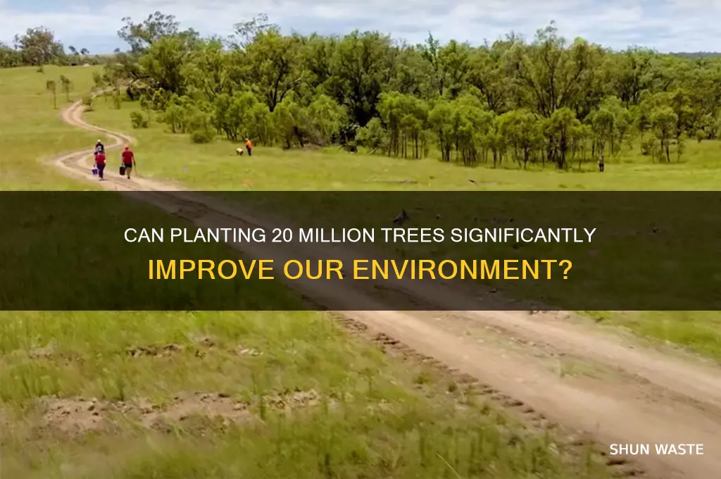 will 20 million trees help the environment