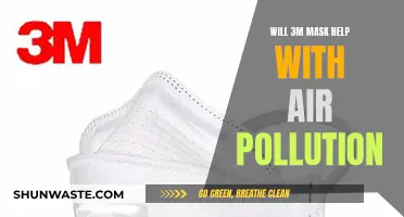 Air Pollution Solution: Can 3M Masks Help?