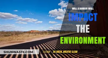 Border Wall Construction: Environmental Consequences and Ecosystem Disruption Explored