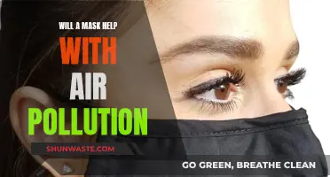 Masks: Air Pollution Solution or Temporary Fix?