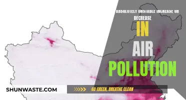 Air Pollution: Unstable Future, Uncertain Outcome