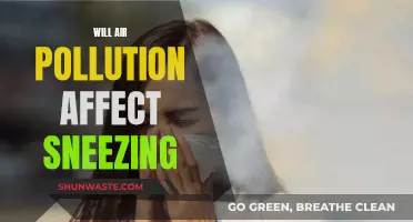 Air Pollution and Sneezing: Is There a Link?