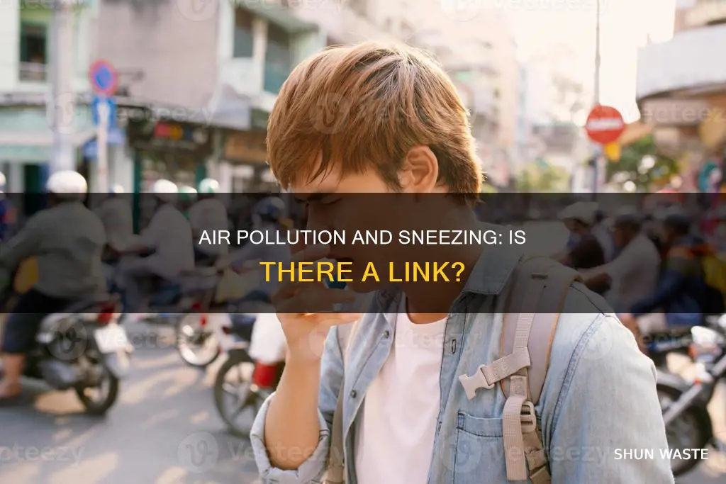 will air pollution affect sneezing