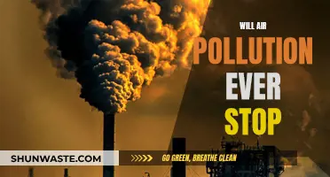 Air Pollution: An Everlasting Battle?
