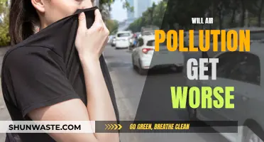 Air Pollution's Future: What's Next for Our Planet?