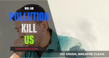 Air Pollution: A Slow and Silent Killer?