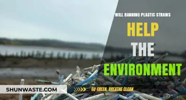 Banning Plastic Straws: A Small Step or Environmental Game-Changer?