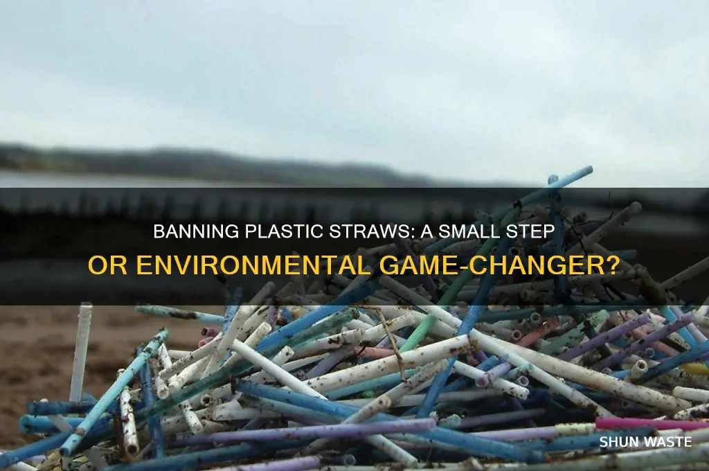 will banning plastic straws help the environment