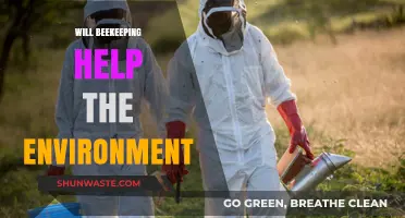 Beekeeping's Environmental Impact: Pollination, Biodiversity, and Ecosystem Benefits Explored