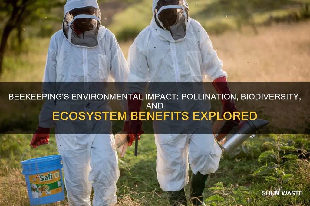 will beekeeping help the environment