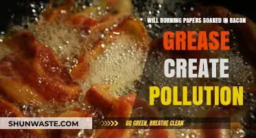Burning Bacon Grease-Soaked Papers: Pollution Risk or Harmless Practice?