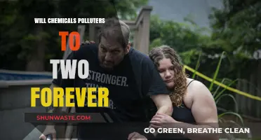 Forever Chemicals: Unveiling the Persistent Pollution Crisis and Its Impact