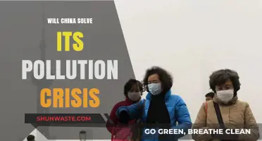 Can China Overcome Its Pollution Crisis? Challenges and Potential Solutions