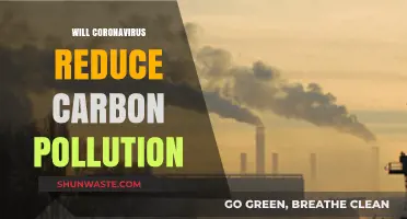 Coronavirus Impact: A Temporary Dip in Carbon Pollution?
