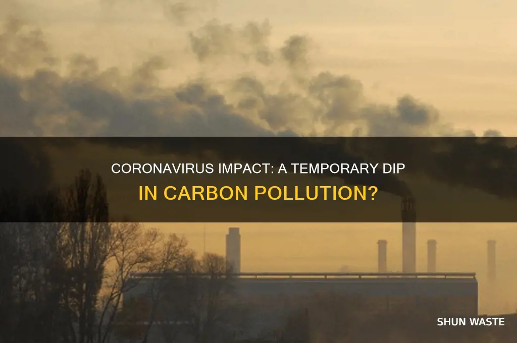 will coronavirus reduce carbon pollution