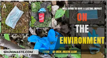 COVID-19's Environmental Legacy: Long-Term Effects on Our Planet