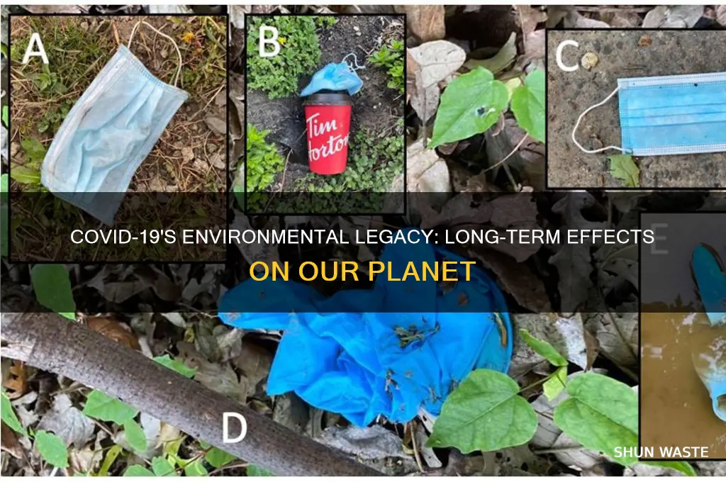 will covid 19 have a lasting impact on the environment