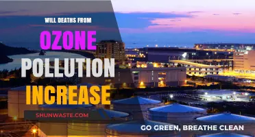 Rising Ozone Pollution: A Growing Threat to Global Health and Mortality?