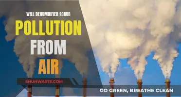 Dehumidifiers: Air Pollution Solution or Just a Myth?