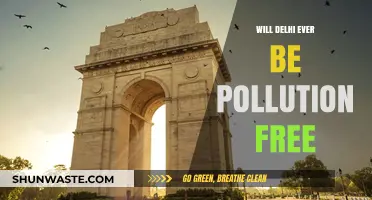 Can Delhi Breathe Clean Air? The Quest for a Pollution-Free Future