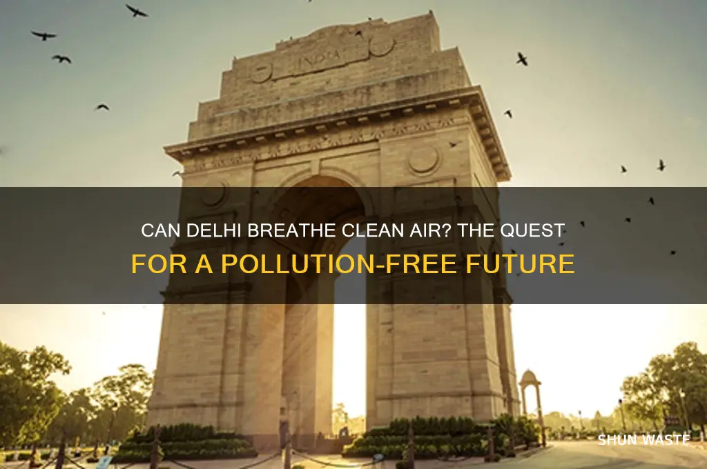 will delhi ever be pollution free