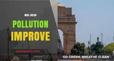 Can Delhi's Air Quality Crisis Be Reversed? Exploring Solutions for a Cleaner Future