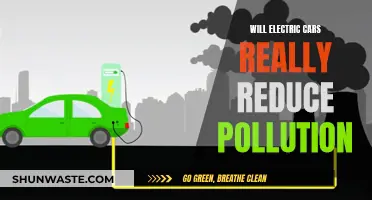 Electric Cars: Pollution Solution or Just Hype?