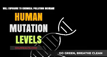 Chemical Pollution and Human Mutation: Unraveling the Genetic Impact