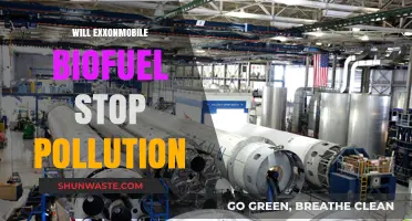 Can ExxonMobil's Biofuel Revolution Curb Global Pollution Effectively?