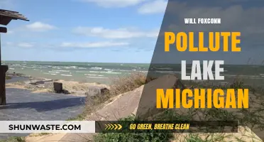 Foxconn's Wisconsin Plant: Environmental Threat to Lake Michigan?