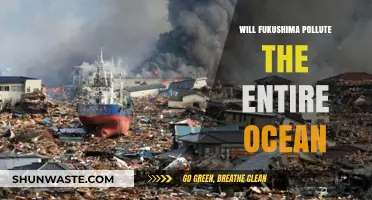 Fukushima's Ocean Impact: Debunking Myths and Assessing Global Pollution Risks