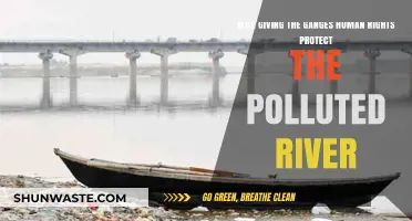 Can Granting Human Rights to the Ganges Save It from Pollution?