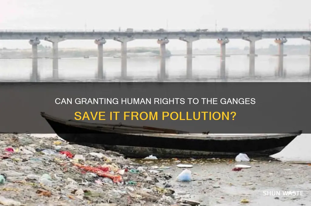 will giving the ganges human rights protect the polluted river