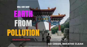 Can Divine Intervention Rescue Earth from the Pollution Crisis?